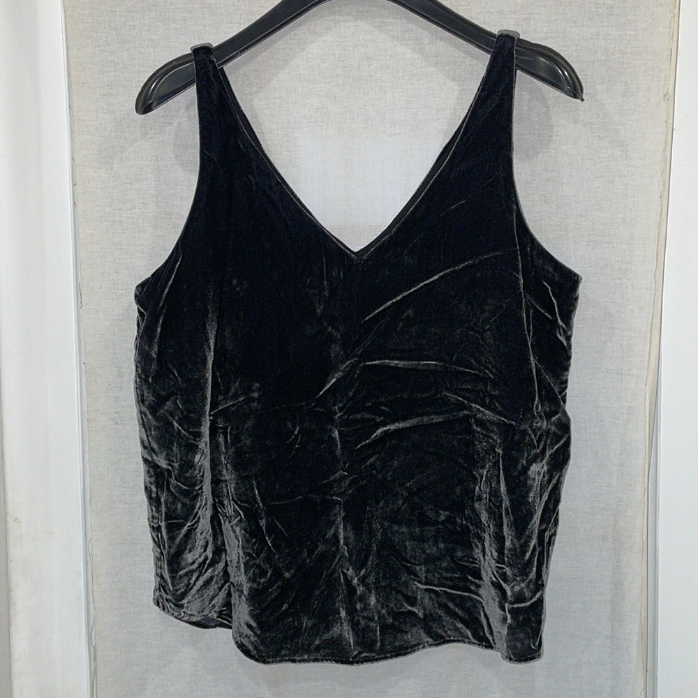 NWT Crushed Velvet Top